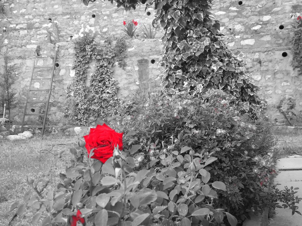 Hostie Sharanam - Mountain Villa Ranikhet Buitenkant foto